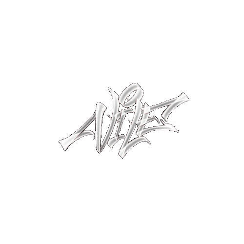 vilecollectiveshop
